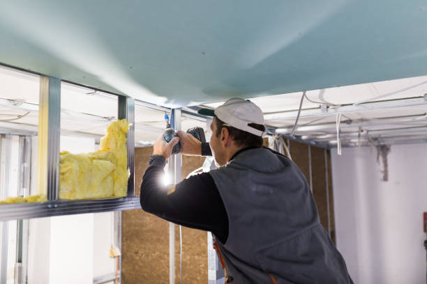 Best Residential Insulation in Santa Rosa Valley, CA
