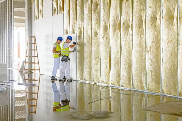 Best Eco-Friendly Insulation in Santa Rosa Valley, CA